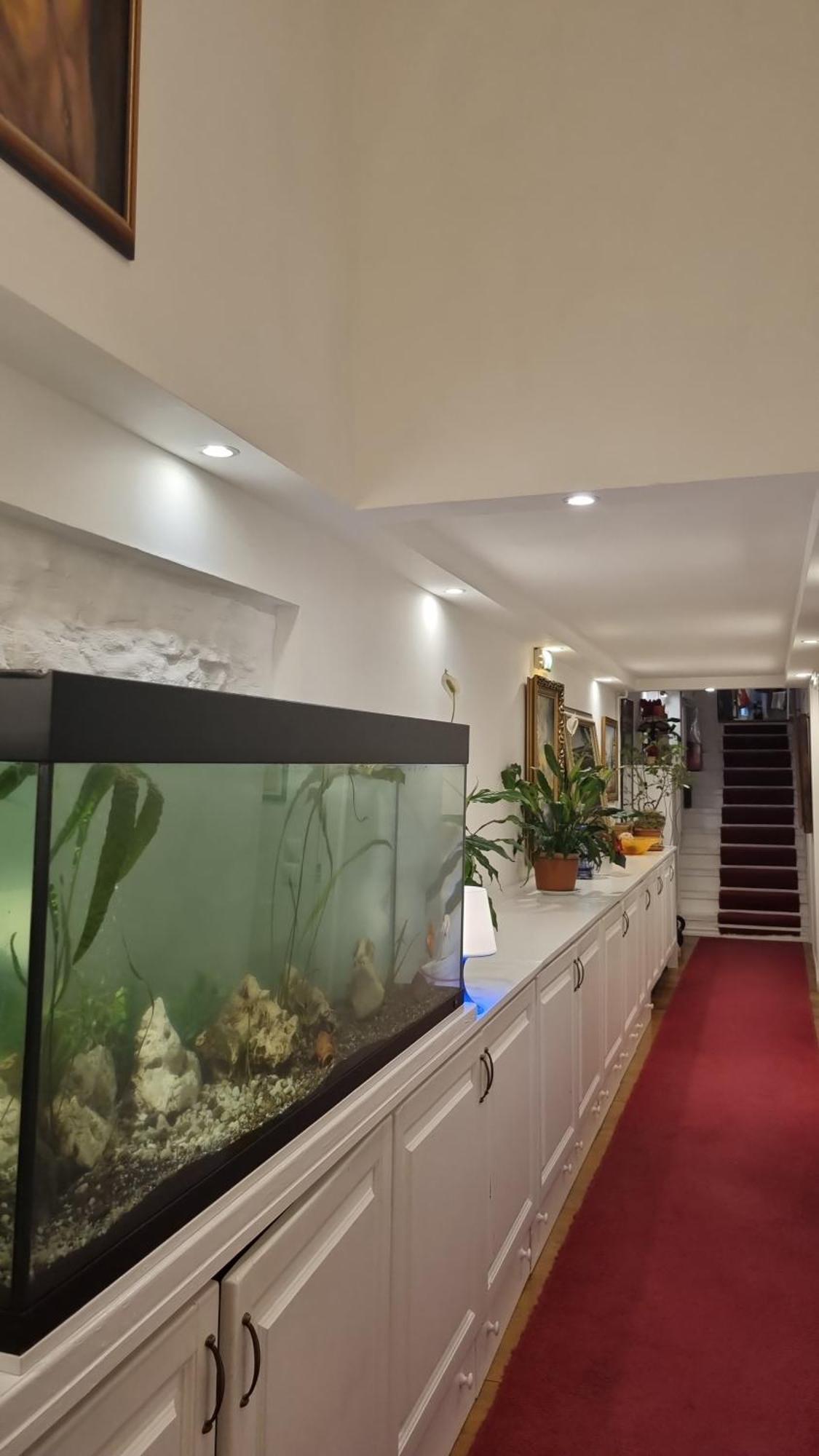 Connection Guesthouse Будапеща Екстериор снимка
