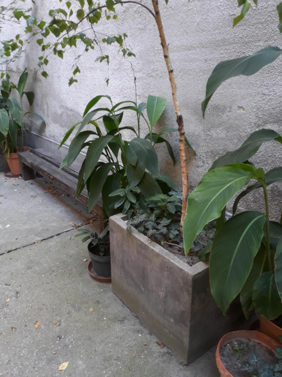 Connection Guesthouse Будапеща Екстериор снимка