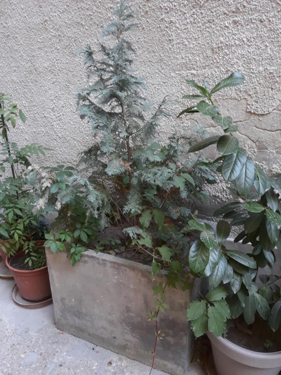 Connection Guesthouse Будапеща Екстериор снимка
