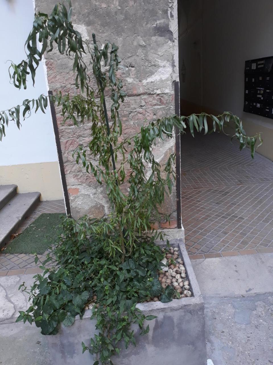 Connection Guesthouse Будапеща Екстериор снимка